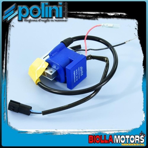 171 0666 centralina polini - centralina,